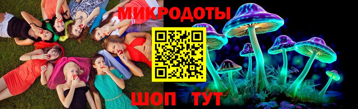 Псилоцибиновые грибы Cubensis Чайковский