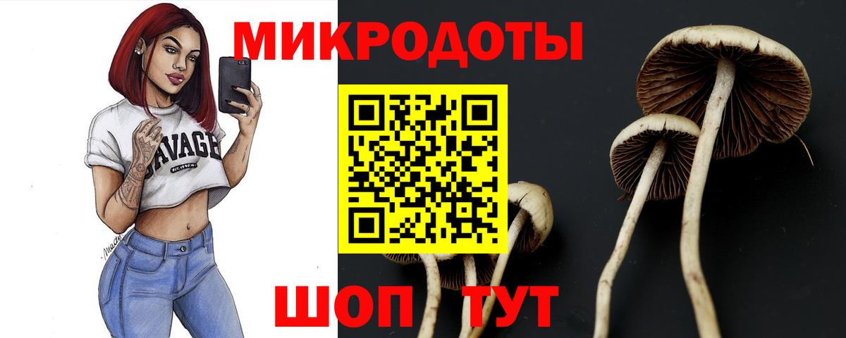 Псилоцибиновые грибы ЛСД  Псилоцибиновые грибы MAGIC MUSHROOMS  Чайковский  Вход с VPN 